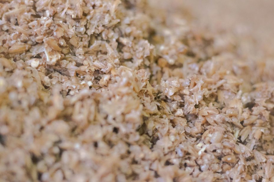 Photo de malt après les étapes d'empatage et filtration